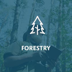 Flagstaff Forestry